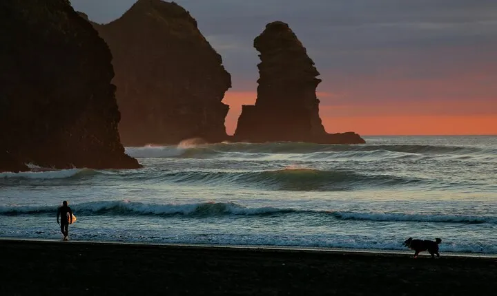 Piha Beach & Wilderness Nature : PRIVATE TOUR 8 hrs
