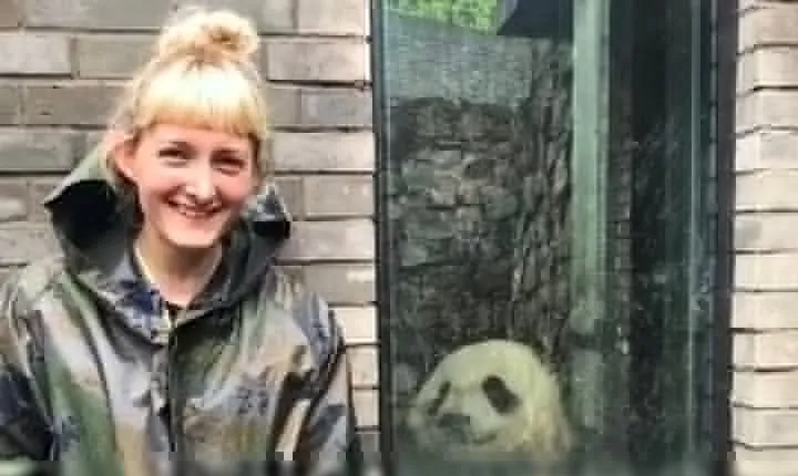 Dujiangyan Panda Volunteering Experience with Lunch