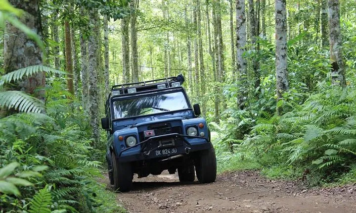 Bali 4WD Adventure
