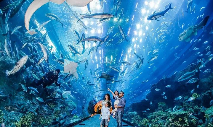 Mall Aquarium and Underwater Zoo