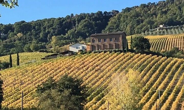 From the Bustling Center of Rome to the Hidden Gems of Tuscany