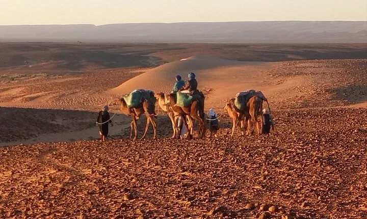 4 Day Private Desert Trek from M'Hamid to Chegaga