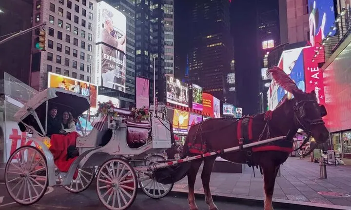 NYC Christmas Light and Rockefeller Center Tour