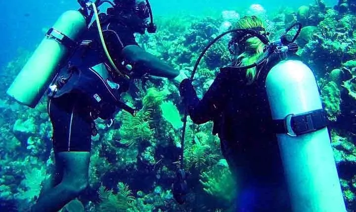 Roatan Discover Scuba Diving Experience
