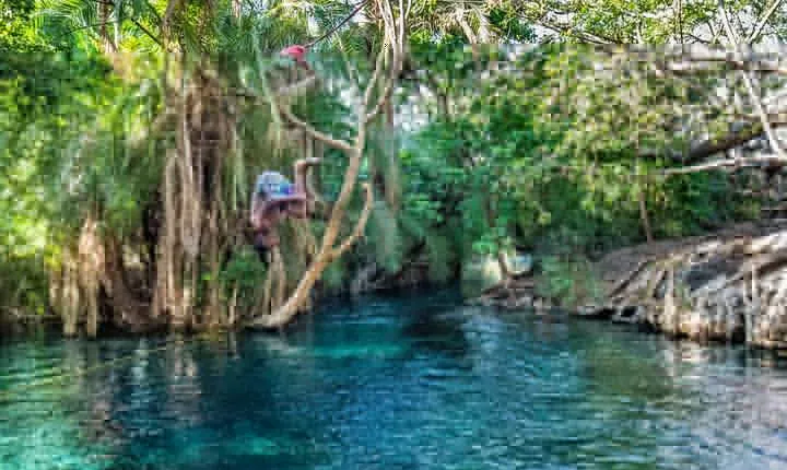 MATERUNI waterfalls, coffe tour & kikuletwa hotsprings