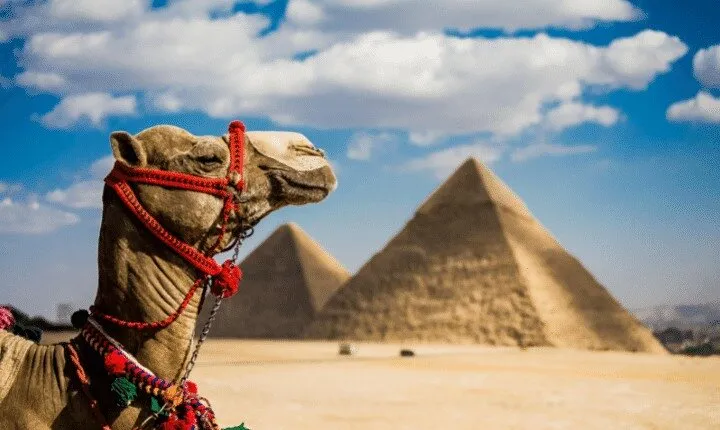 Two Days Tours from El Gouna to Cairo by Road