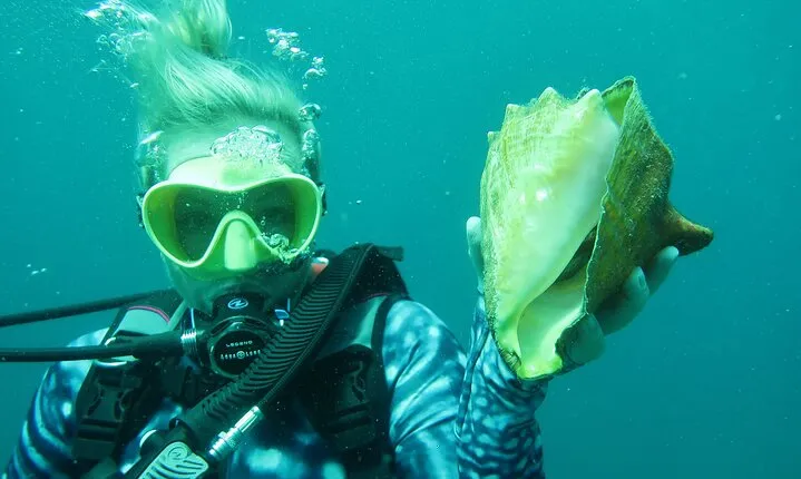 Luxury Snorkeling on Your Vacation Exclusively Private Guaranteed