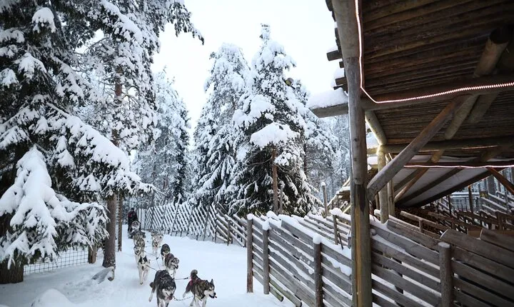 Santa Claus Village, Husky and Reindeers Combo Safari