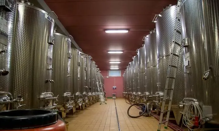 The Valpolicella food & wine driving tour: cheese factory+ winery