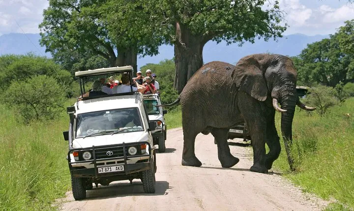 4-Days Private Budget Safari: Tarangire, Serengeti & Ngorongoro 