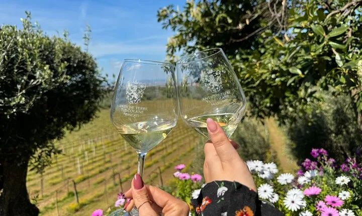 Roman Countryside Wine Tasting Tour in Frascati