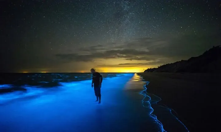 Grand Cayman Bioluminescent Bay Tour 