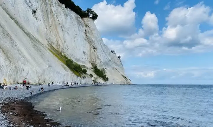 Møns klint and The Forest tower - A day tour from Copenhagen