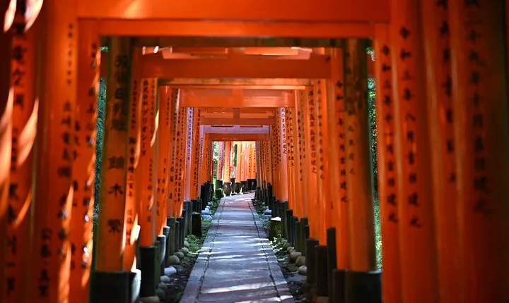 Private Kyoto Nara Tour by Car with Deer, Buddha and More