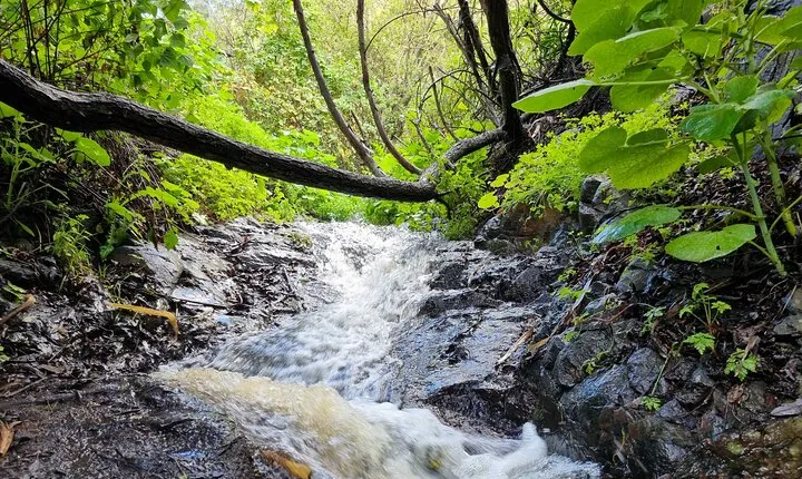 Full day Hiking and Waterfalls Experience