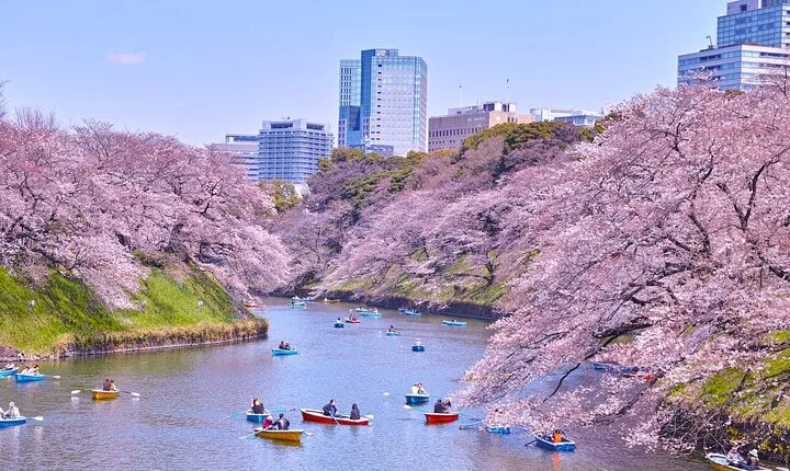 Tokyo Self-Guided Audio Tour