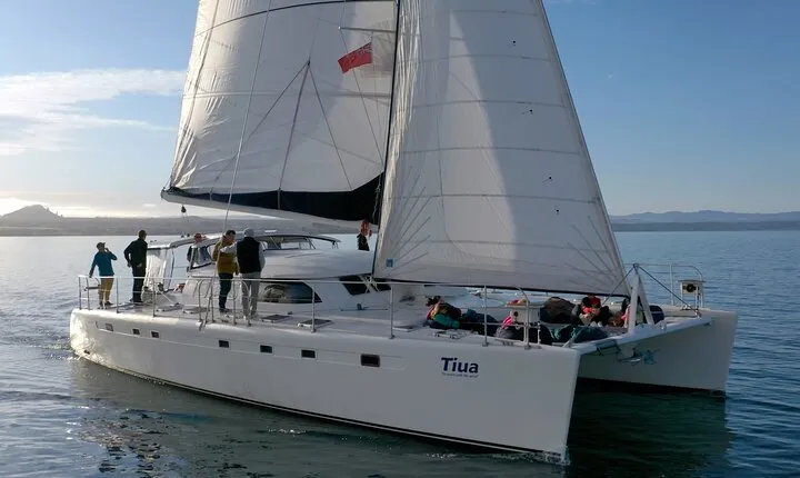 Maori Rock Carvings - Taupo Sailing Adventures -Tiua