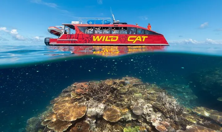 Outer Reef Snorkel Adventure in Airlie Beach