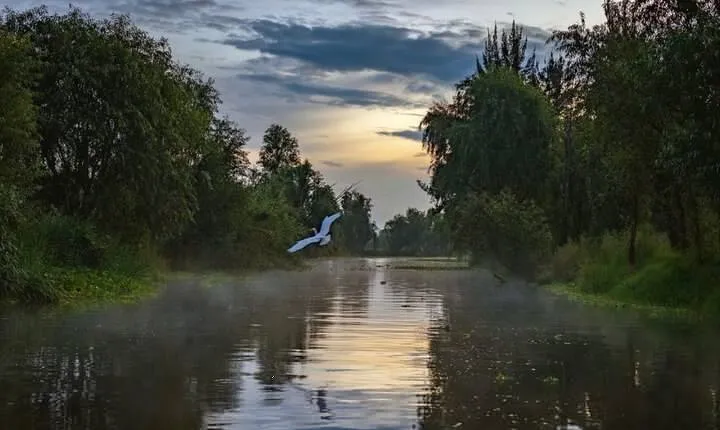Xochimilco Sunrise from Mexico