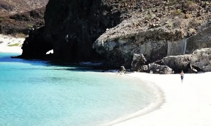 All-Inclusive Catamaran Tour | Beaches & Sea Lions from Los Cabos