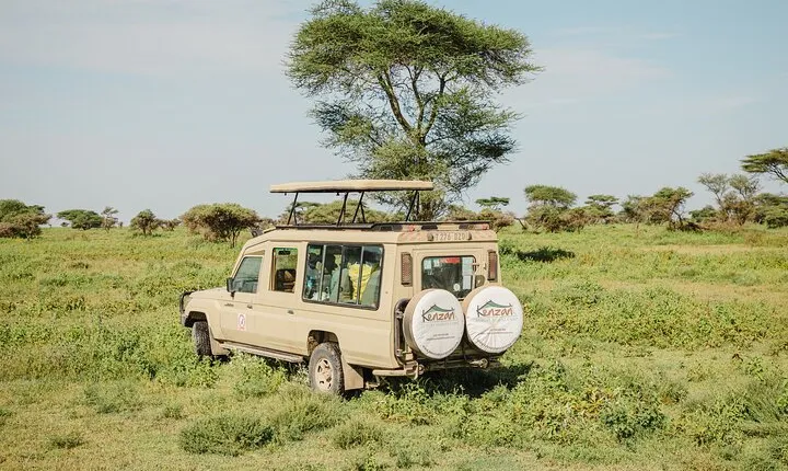 Private 4-Day Wildlife Encounter in Tanzania