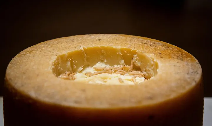 Skip the Line: Disgusting Food Museum Entrance Ticket