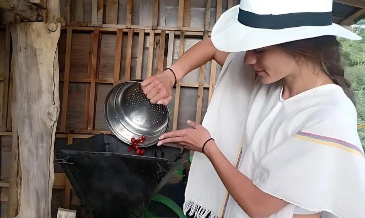 Private Community Coffee Farm of Transformation in Comuna 8