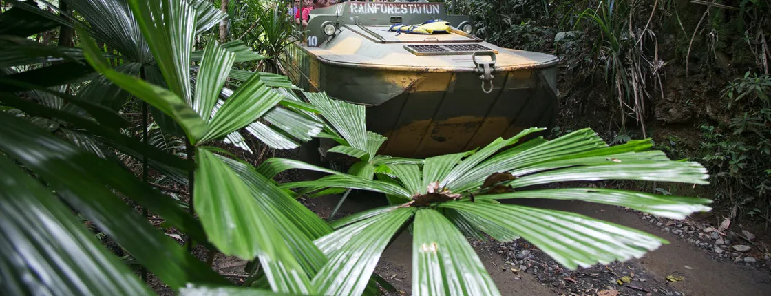 Rainforestation and Kuranda Village tour by Coach