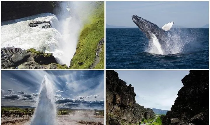 Whale Watching and Golden Circle Tour from Reykjavik