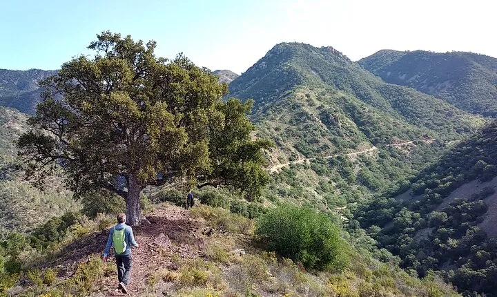 Hike the Cork Oak trail and try some Delicious Cheese