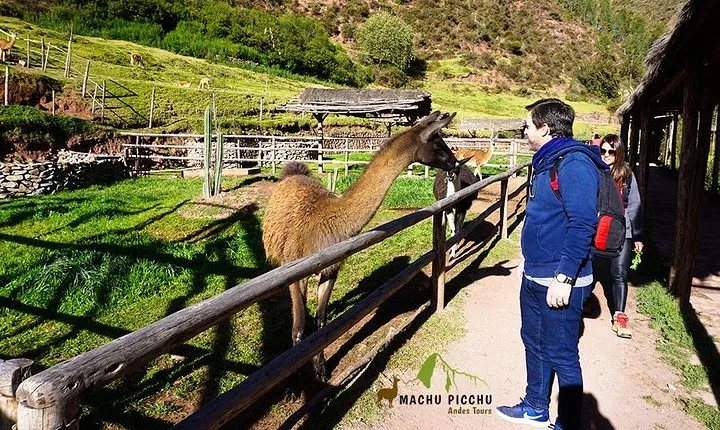 Tour to Sacred Valley: Tour Pisaq, Ollantaytambo, and Chinchero.