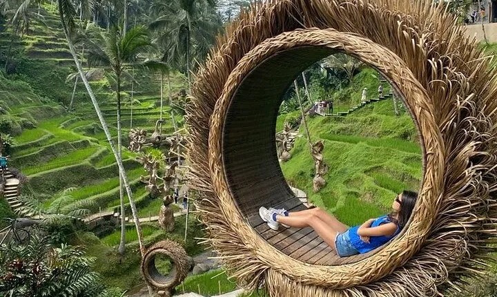 Ubud private Tour : Waterfalls - Monkey Forest and Rice Terrace