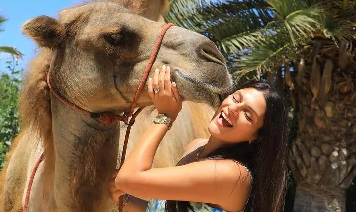 Camel Safari and Gastronomic Experience in Los Cabos