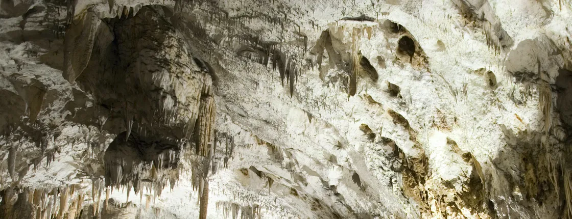 Half-day Postojna Cave and Predjama Castle all-inclusive tour