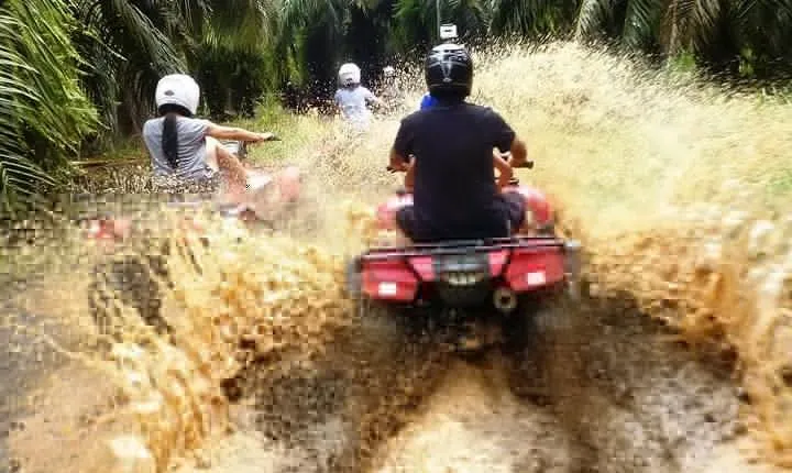 ATV & Canopy Tour From Flamingo Beach