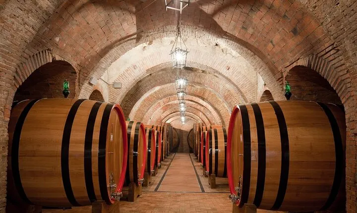 Montepulciano: Winery Tour & Tasting Experience