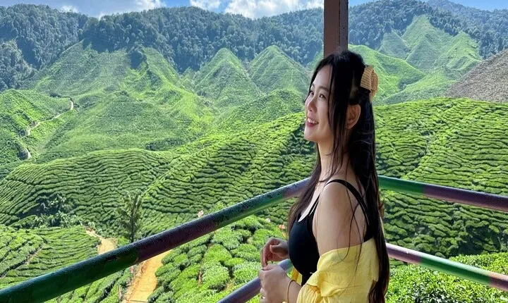 Cameron Highlands Day Tour from Kuala Lumpur with Lunch (SIC - Shared Tours)