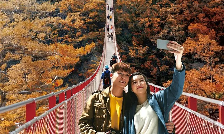 DMZ Tour from Seoul:3rd Tunnel,North Korea View,Suspension Bridge