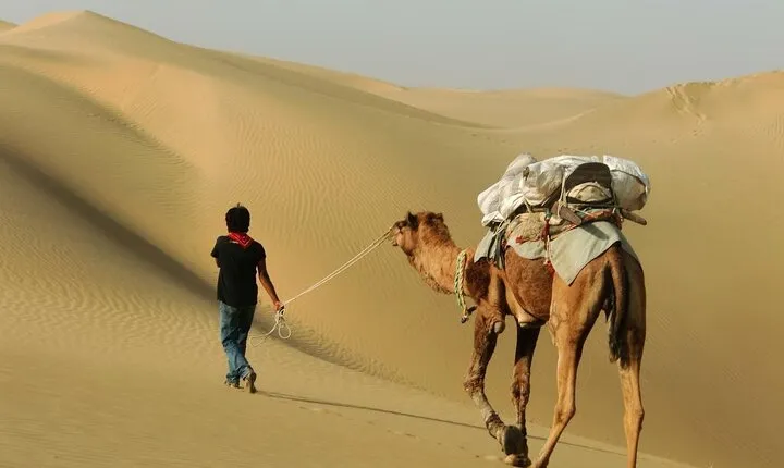 Half Day Sunset Safari With Camel Ride and Cultural Program
