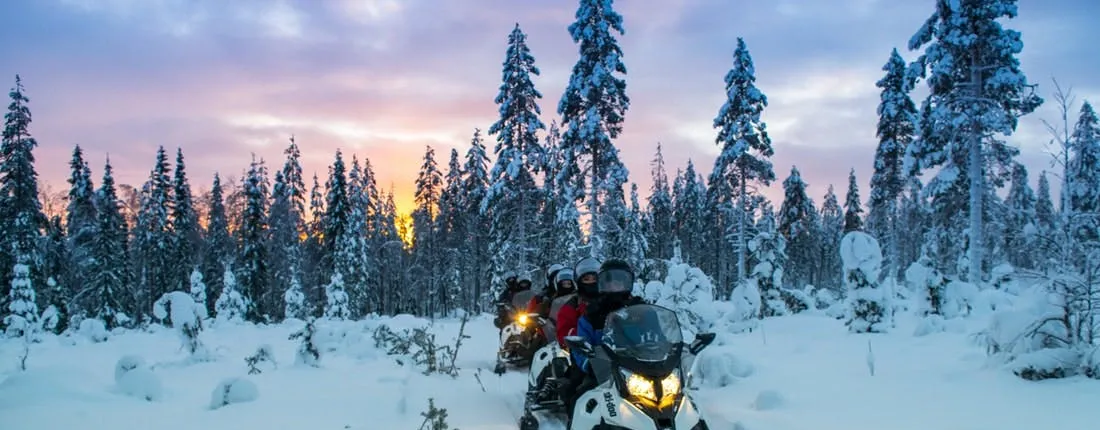 Snowmobile adventure to reindeer and husky farm