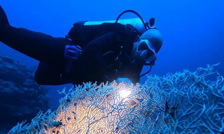2 Hour Private Night Diving in the Red Sea of Aqaba