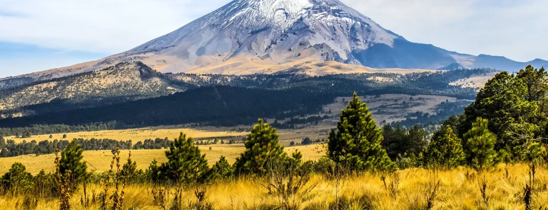 Volcanoes natural park guided excursion from Mexico City