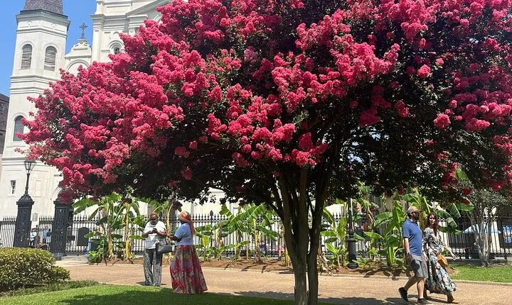 French Quarter Historical Sights and Stories Walking Tour