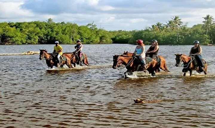 Horseback Riding to Maimon River from Punta Cana