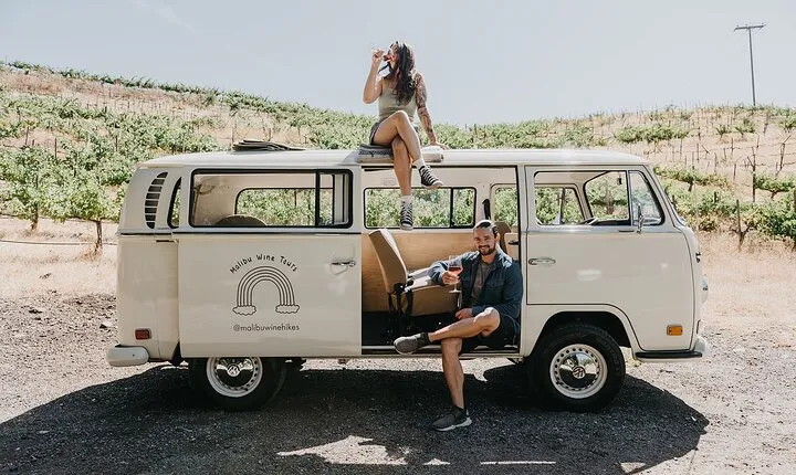 Los Angeles: Private Vintage VW Bus Tour in Malibu