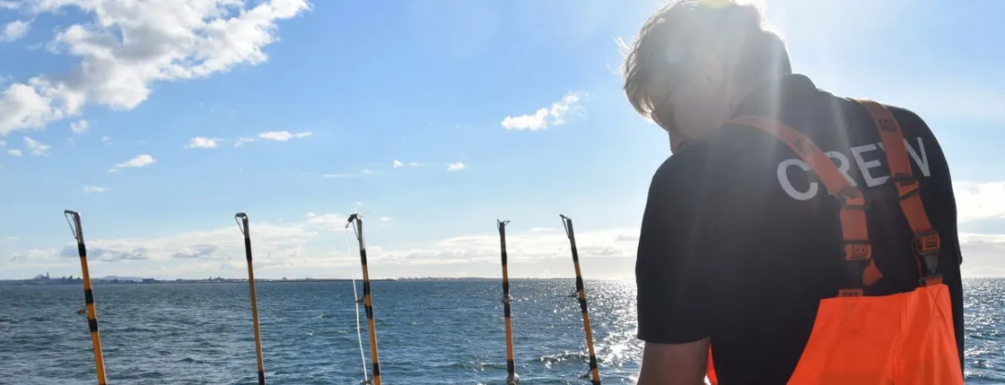 Sea fishing tour from Reykjavik