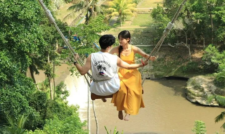 Bali Swing Packages and Denpasar City Private Tour