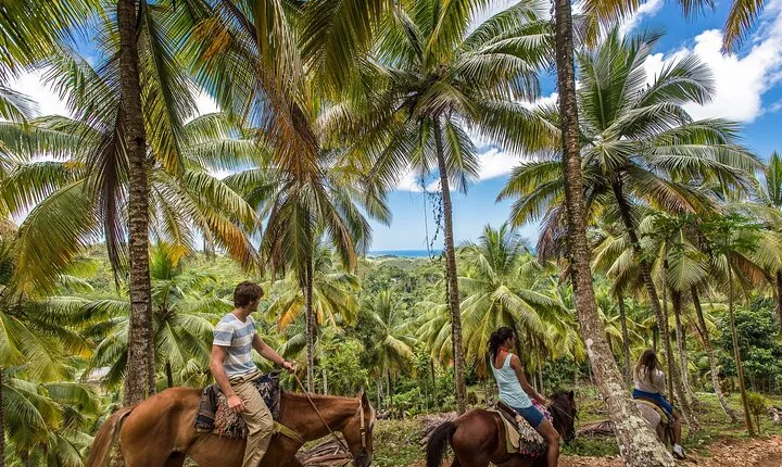 Horseback Riding in the Dominican Jungle