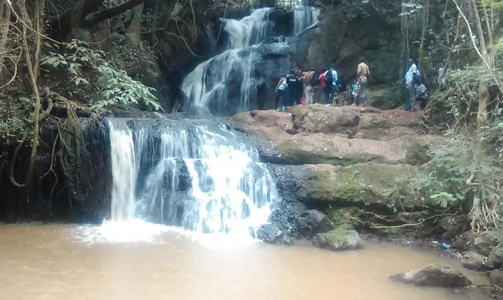Nairobi Day Tour to Karura Forest Hike, Trail Bike & Nature Walk