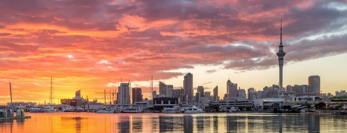 Discover Auckland City Tour